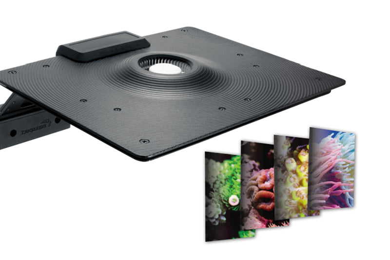 Maxspect Ethereal LED Light & ICV6 Controller Bundle